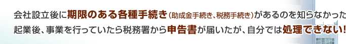 会社設立後に期限のある各種手続き（助成金手続き、税務手続き）があるのを知らなかった！起業後、事業を行っていたら税務署から申告書が届いたが、自分では処理できない！